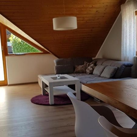 Appartment Sonnenblick Dielheim Exterior photo